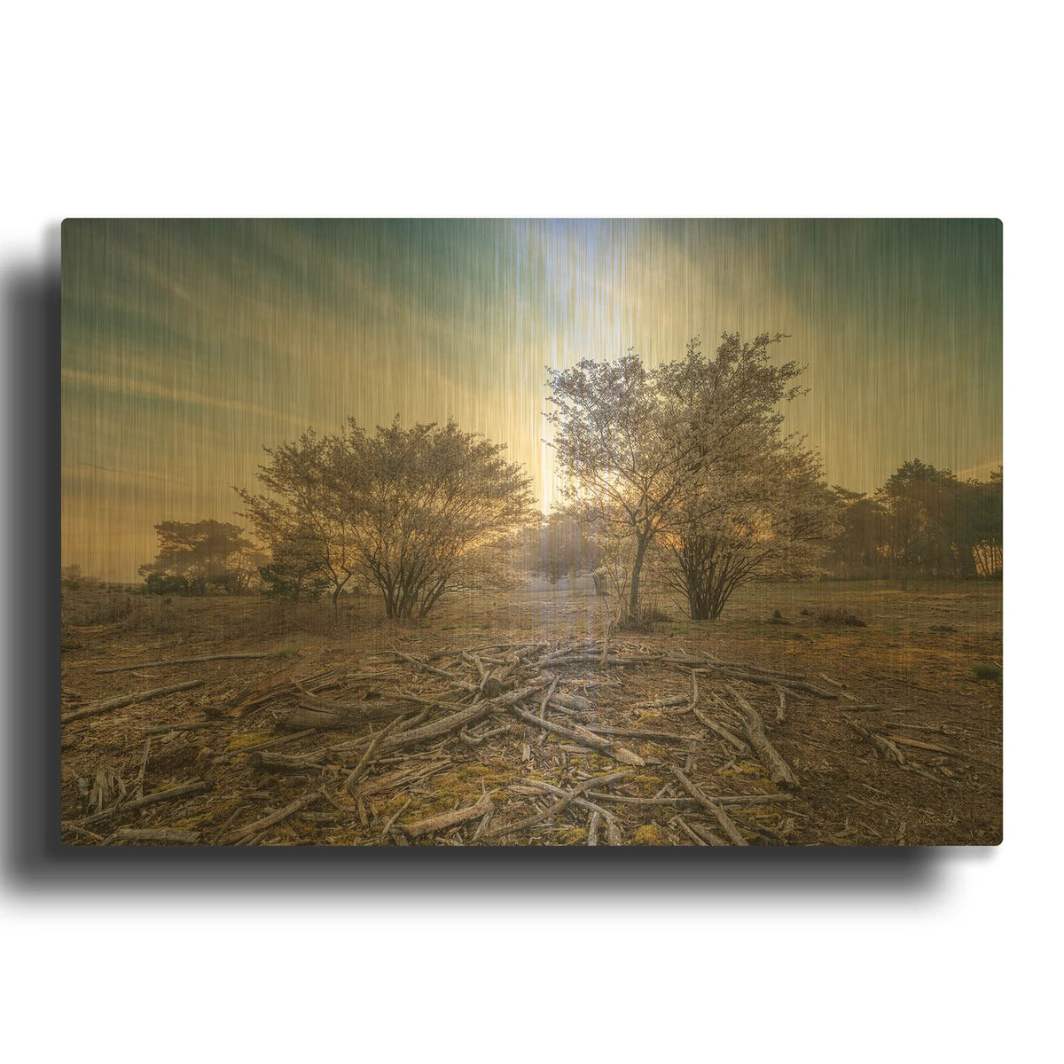 'Spring Bushes at Sunrise' By Martin Podt Gold Metal Wall Art
