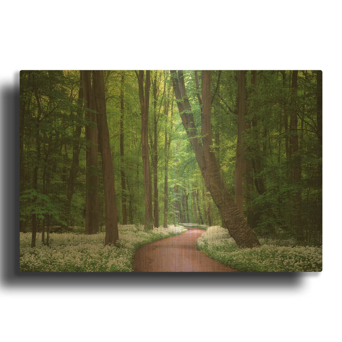 'Fragrant Road' By Martin Podt Gold Metal Wall Art