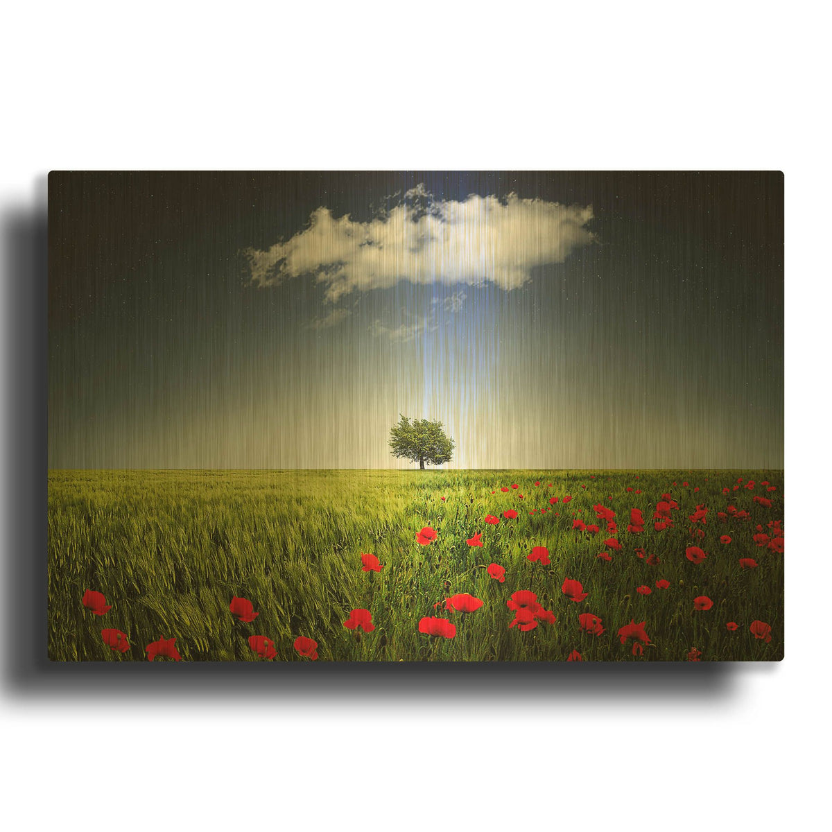 'Lone Tree A Poppies Field' By Bess Hamiti Gold Metal Wall Art