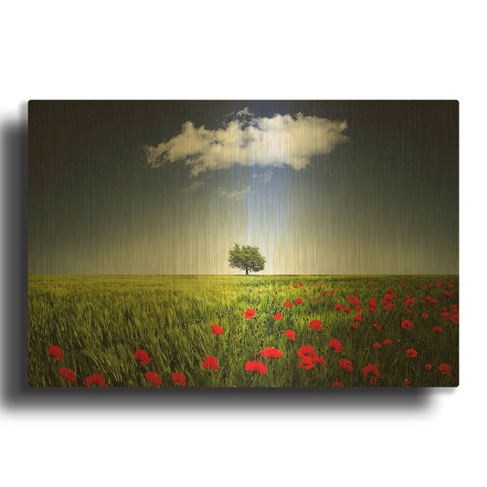 'Lone tree a poppies field' By Bess Hamiti Gold Metal Wall Art