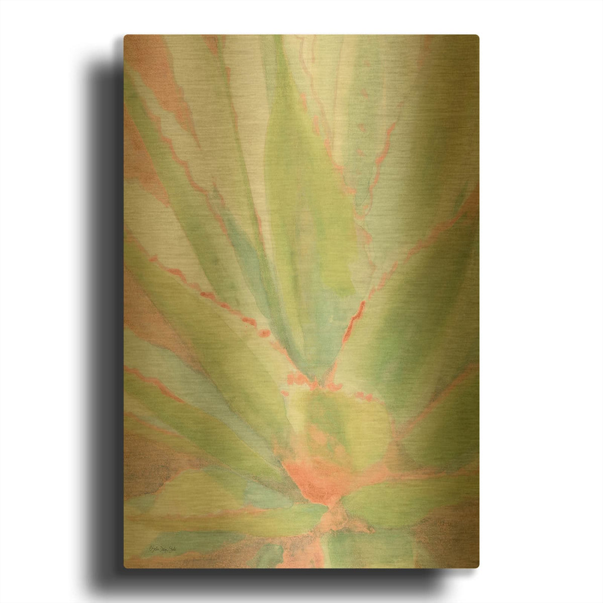 'Succulent Bloom 1' By Stellar Design Studio Gold Metal Wall Art