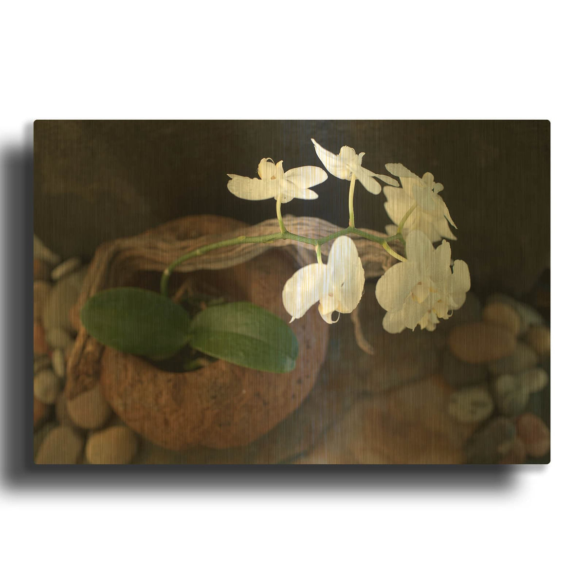 'Orchid Flowers' By Elena Ray Gold Metal Wall Art