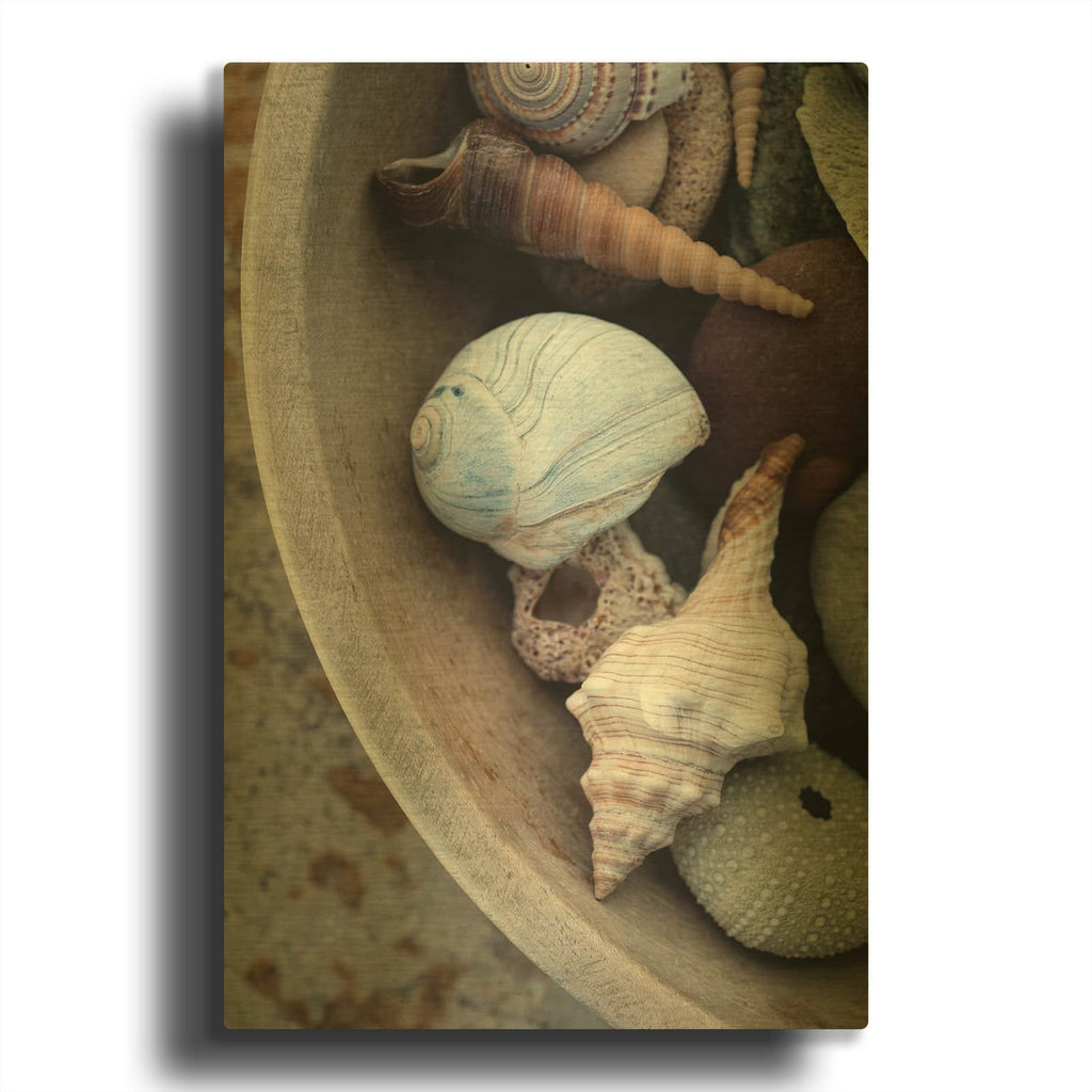 'Beachcomber Collection' By Elena Ray Gold Metal Wall Art