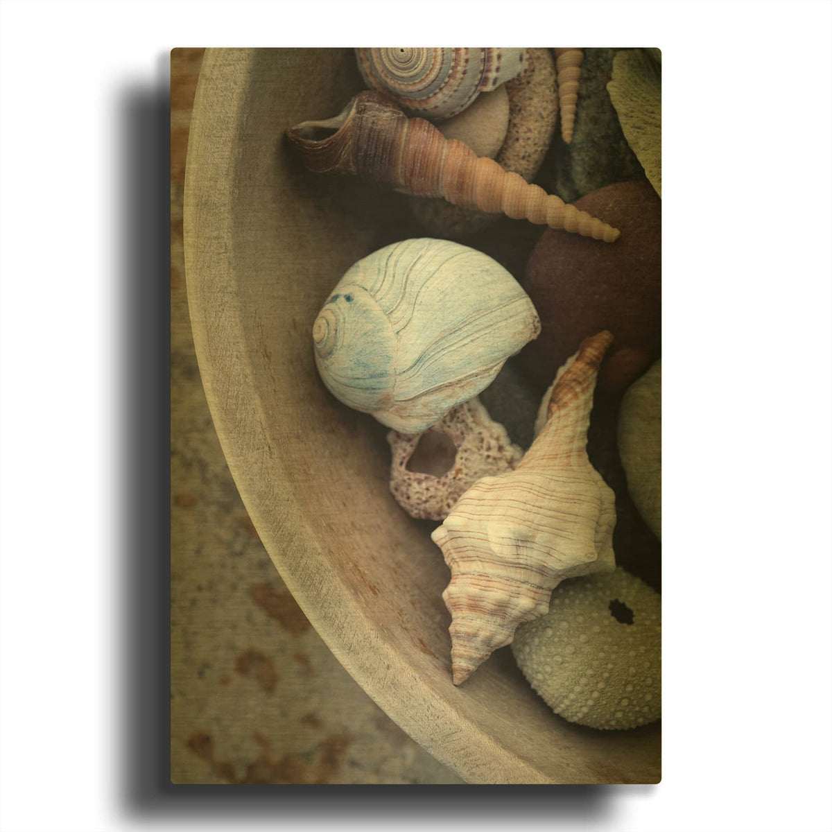 'Beachcomber Collection' By Elena Ray Gold Metal Wall Art