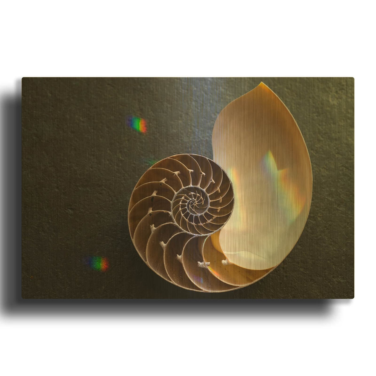'Sacred Geometry Nautilus Shell' By Elena Ray Gold Metal Wall Art