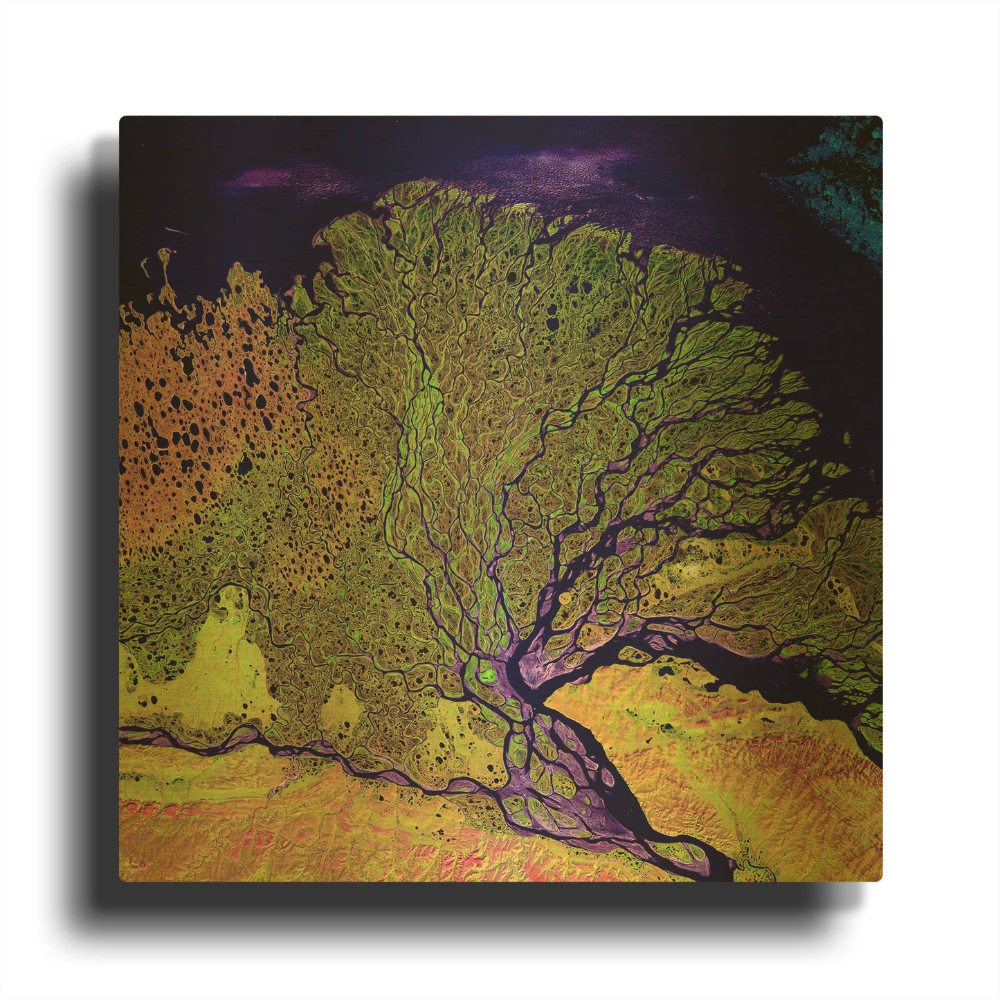 'Earth As Art Lena Delta' By NASA Earth As Art Gold Metal Wall Art