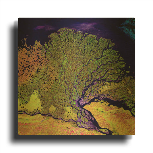 'Earth As Art Lena Delta' By NASA Earth As Art Gold Metal Wall Art