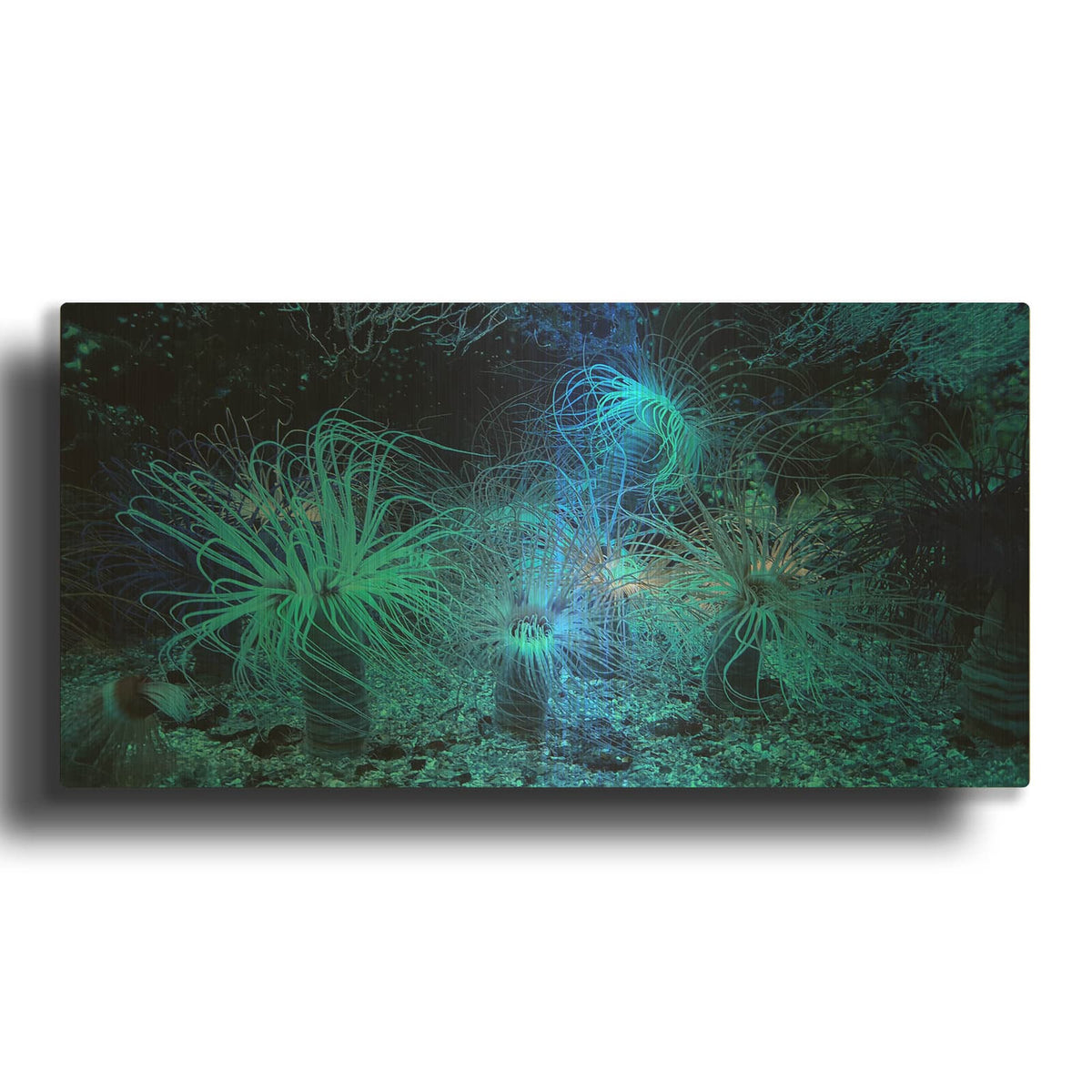 'Anemone Jungle' By Luxe Gold Metal Wall Art