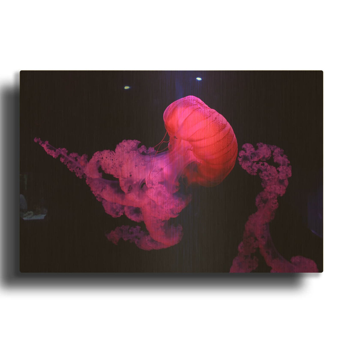 'Mushroom Cloud' By Luxe Gold Metal Wall Art