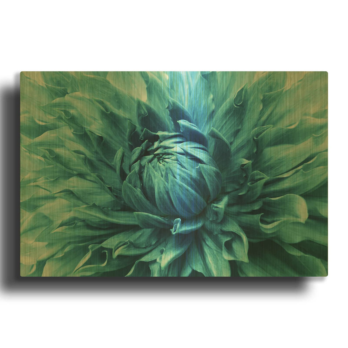 'Turquoise Dahlia' By Luxe Gold Metal Wall Art