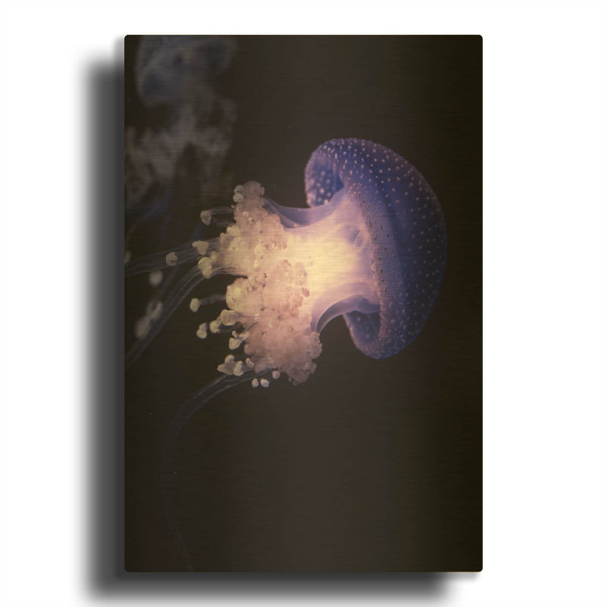 'Underwater Mushroom' By Luxe Gold Metal Wall Art
