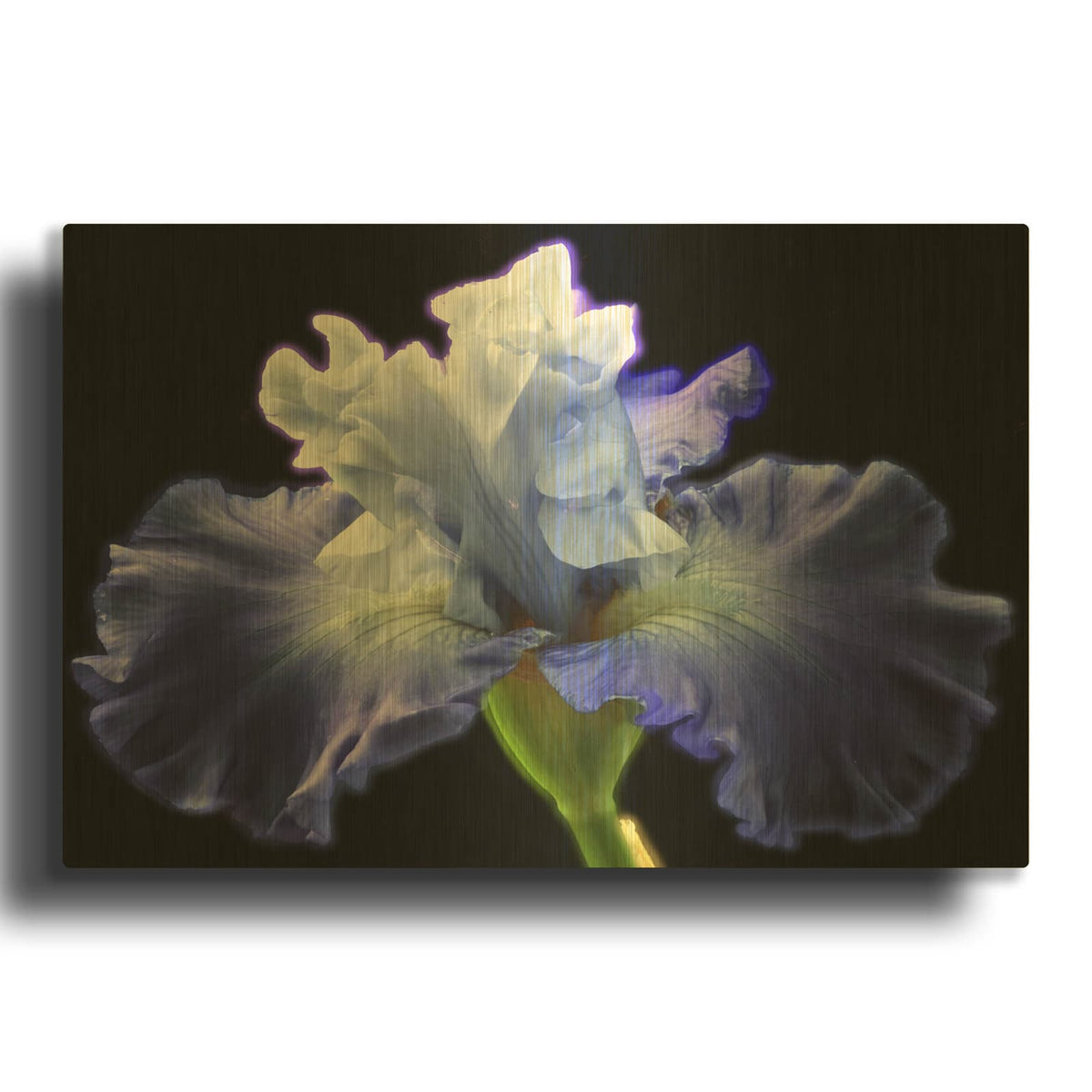 'Violet Blaze' By Luxe Gold Metal Wall Art