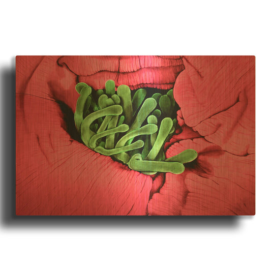 'Folds' By Rita Shimelfarb Gold Metal Wall Art