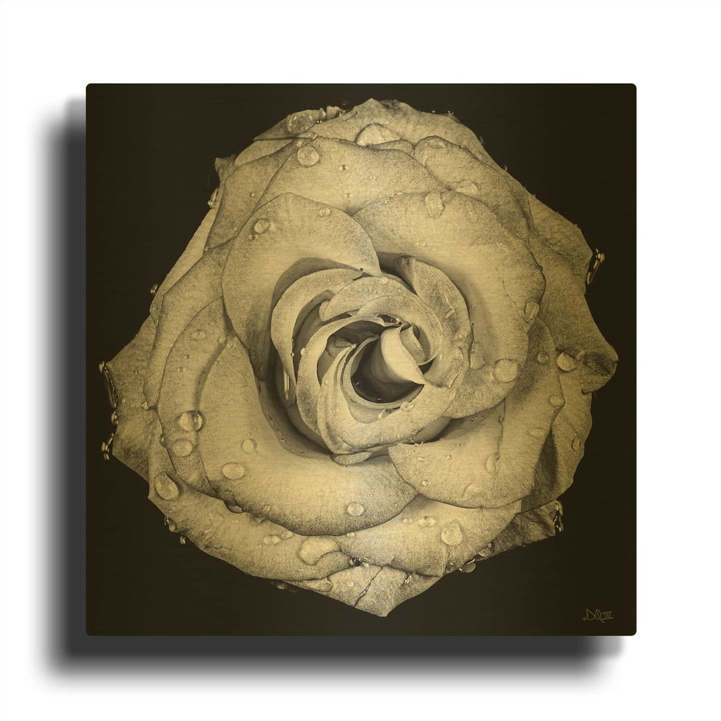'A Love Lost' By Donnie Quillen Gold Metal Wall Art