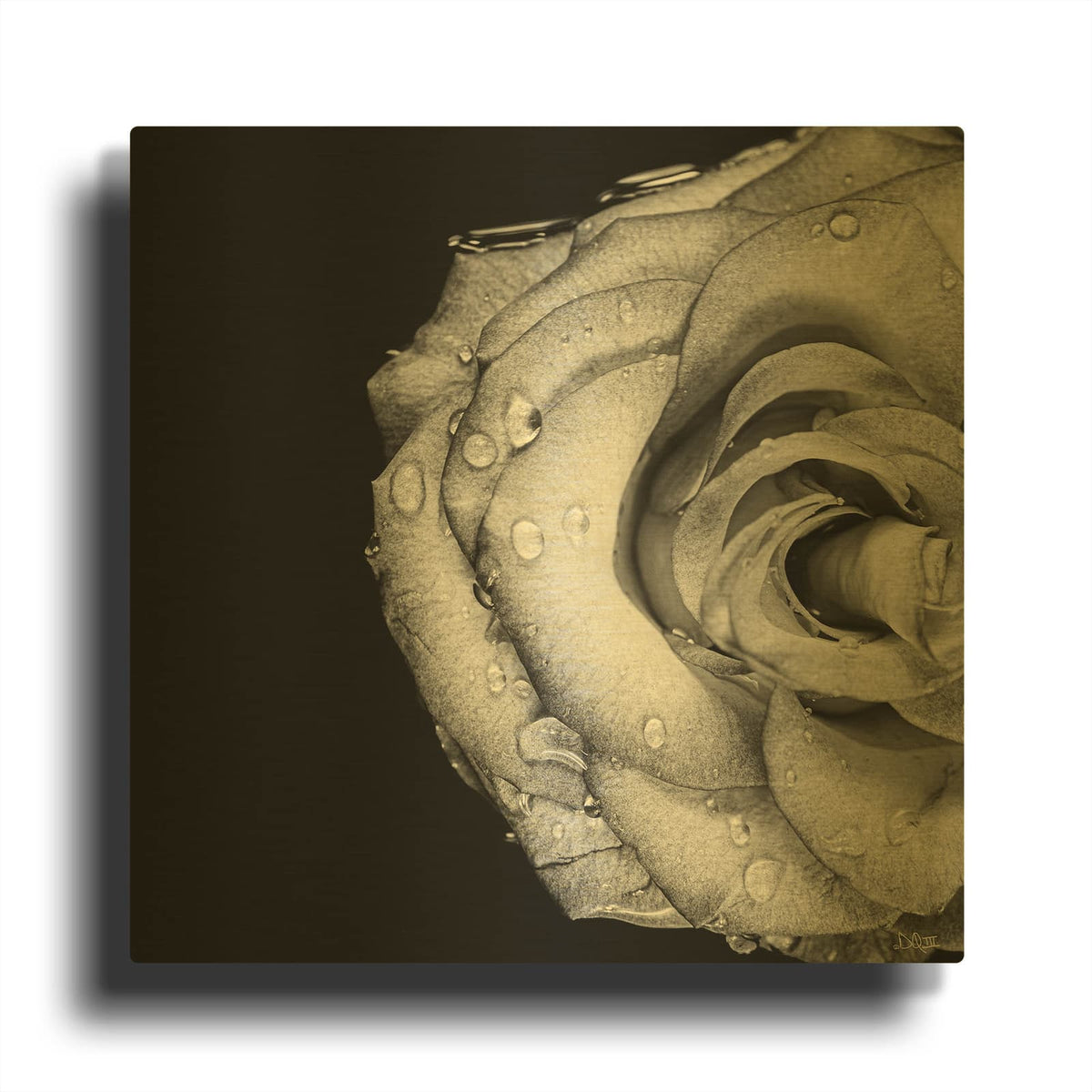 'Lost Love' By Donnie Quillen Gold Metal Wall Art