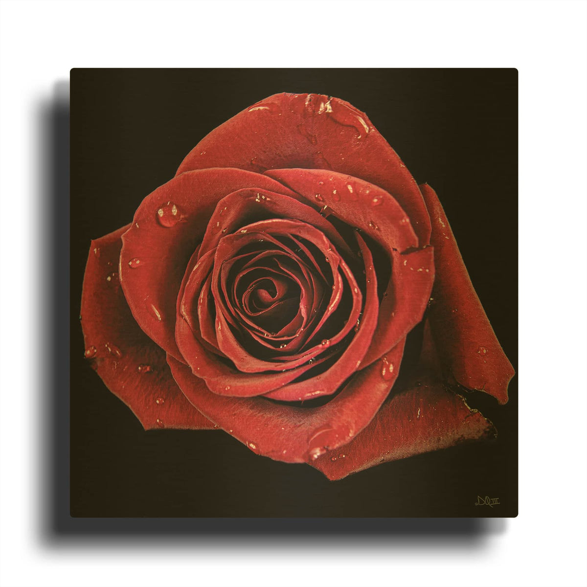 'Broken Heart Rose' By Donnie Quillen Gold Metal Wall Art