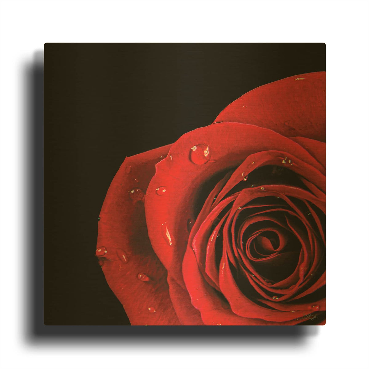 'Pop of Red Rose' By Donnie Quillen Gold Metal Wall Art