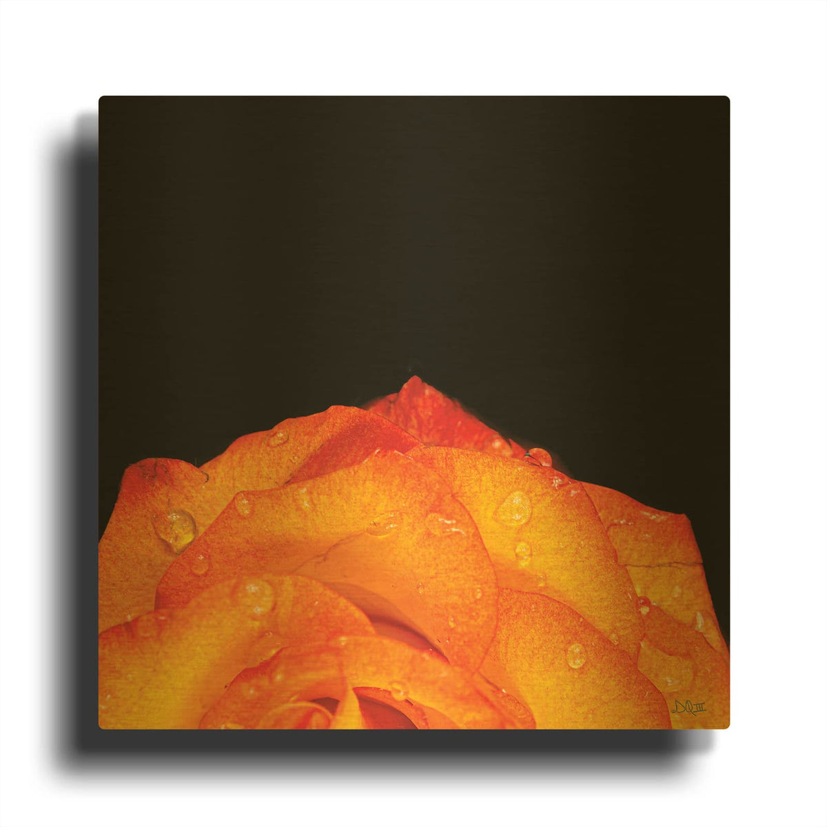 'Orange Petals' By Donnie Quillen Gold Metal Wall Art