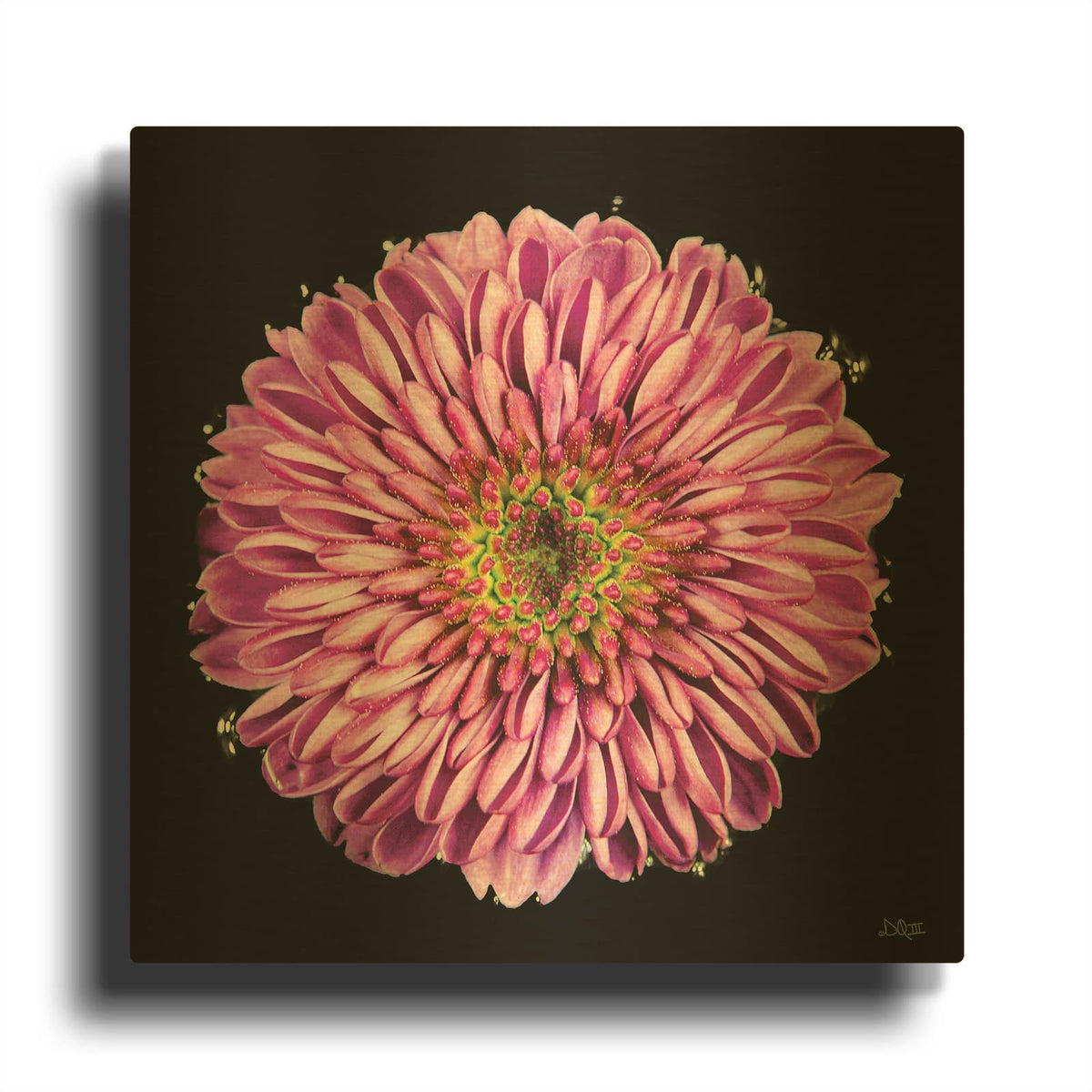 'Purple Gradient' By Donnie Quillen Gold Metal Wall Art