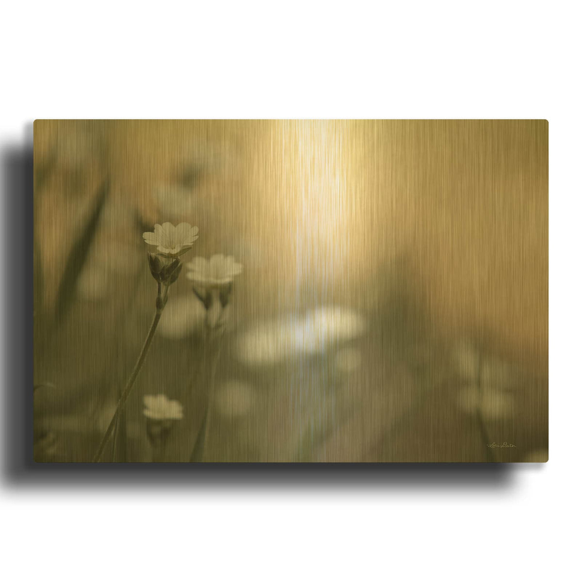 'Spring Into Life' By Lori Deiter Gold Metal Wall Art