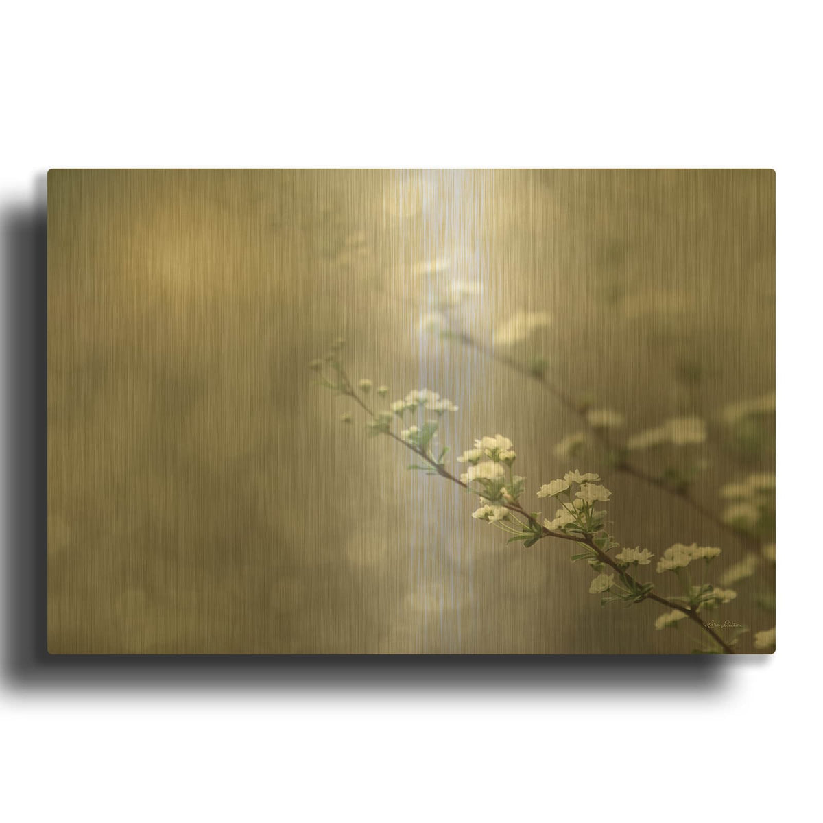 'Floral Dreams' By Lori Deiter Gold Metal Wall Art