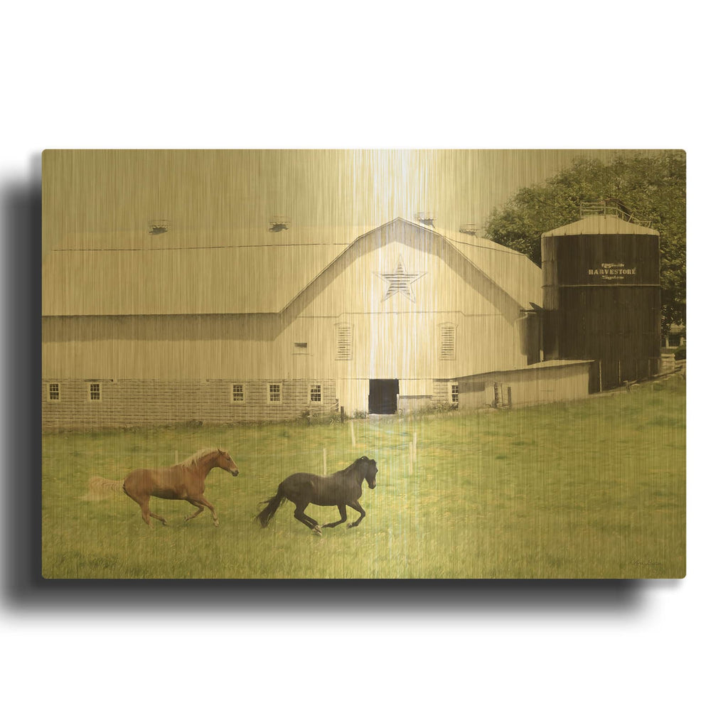 'Afternoon Run on the Farm' By Lori Deiter Gold Metal Wall Art