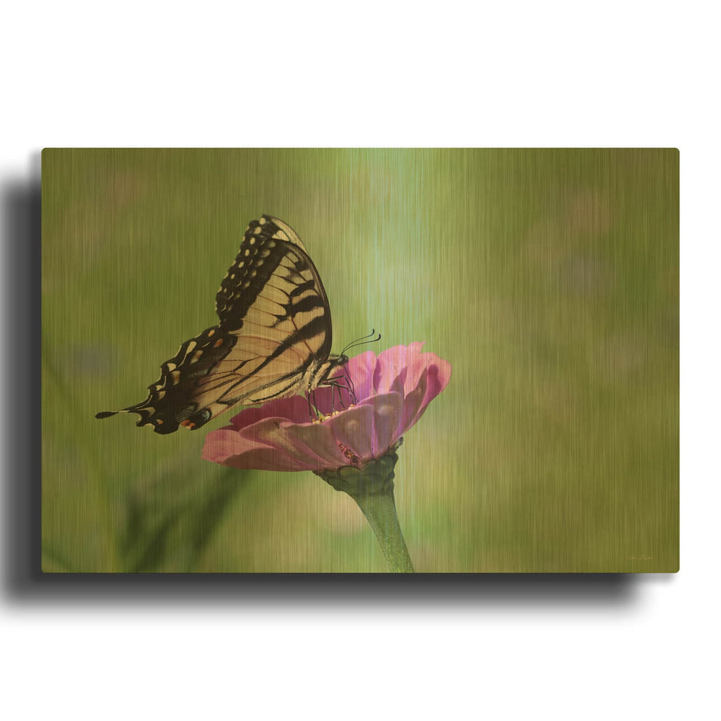 'Butterfly Resting Spot I' By Lori Deiter Gold Metal Wall Art