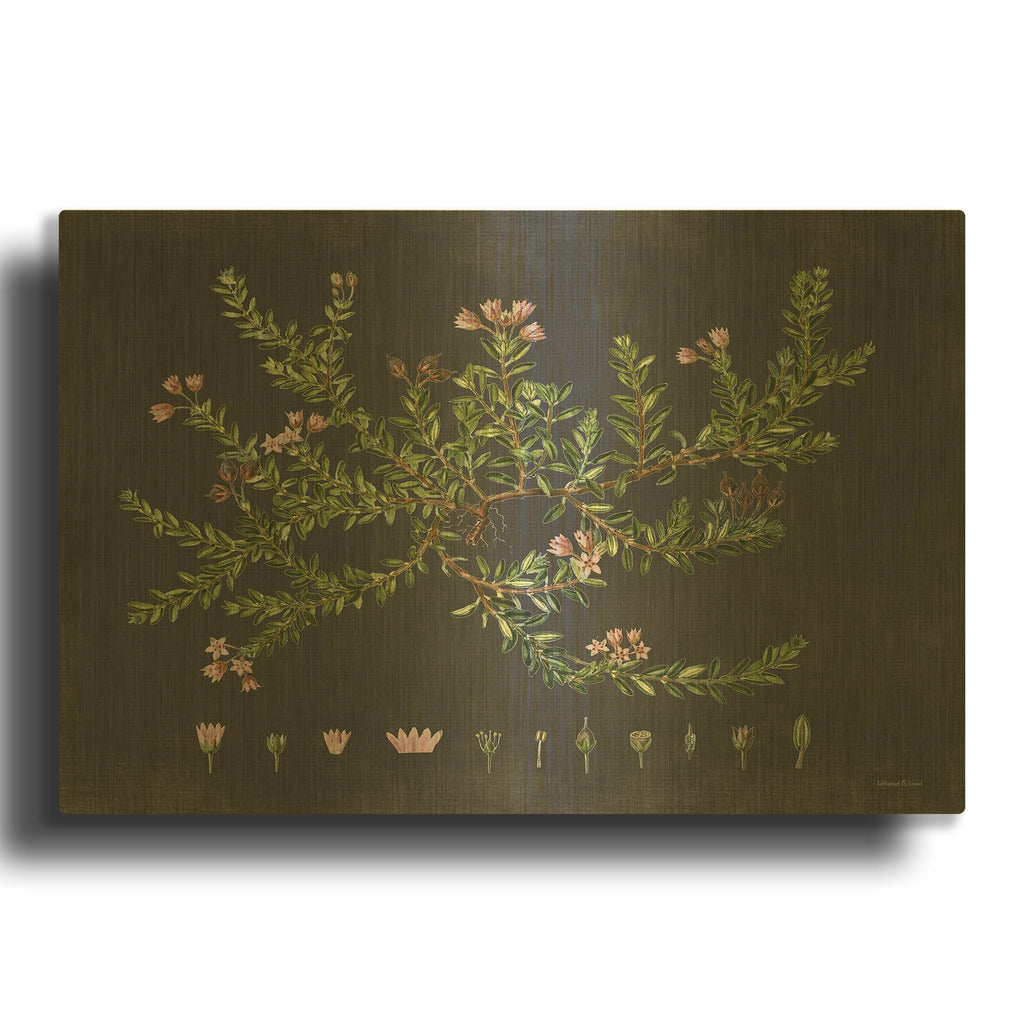 'Alpine Azalea' By Lettered Gold Metal Wall Art