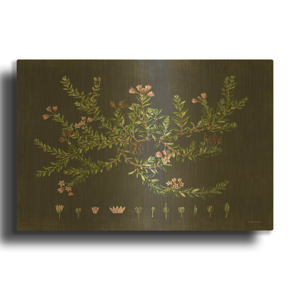 'Alpine Azalea' By Lettered Gold Metal Wall Art
