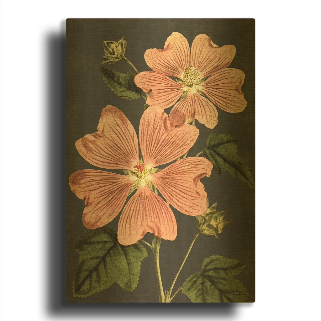 'Pink Anemone' By Lettered Gold Metal Wall Art