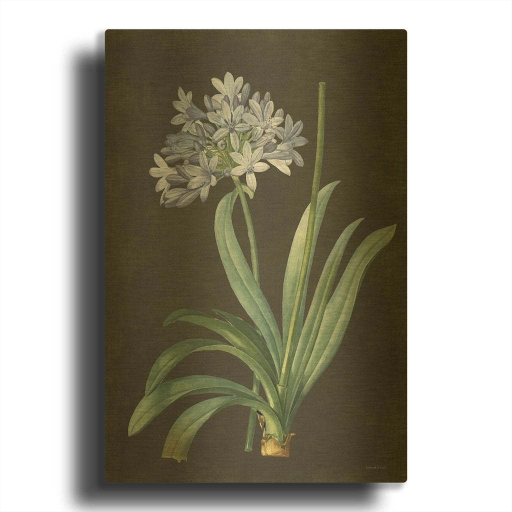 'Bulb Study' By Lettered Gold Metal Wall Art