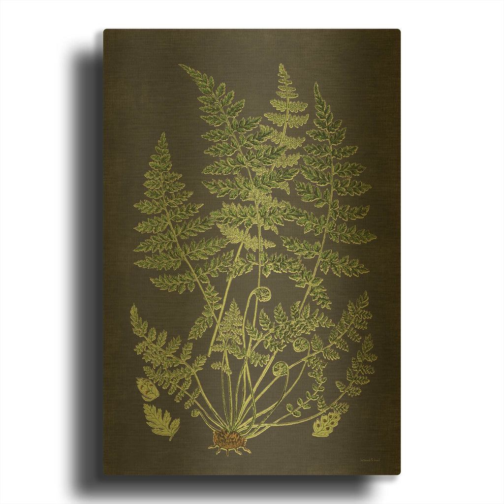 'Fern Study' By Lettered Gold Metal Wall Art