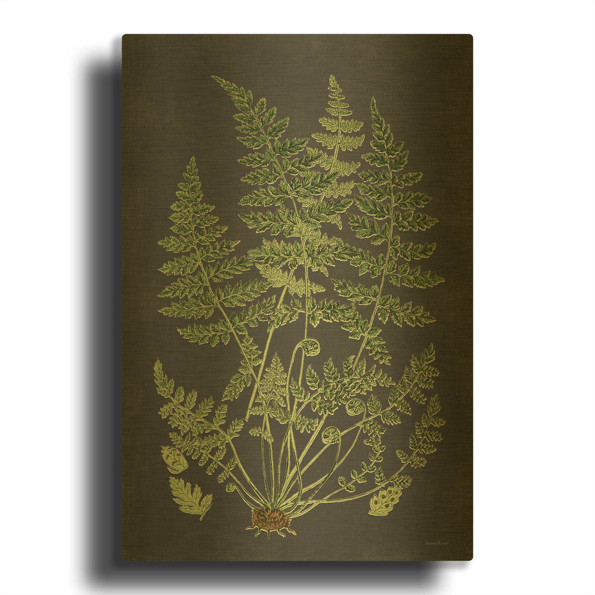 'Fern Study' By Lettered Gold Metal Wall Art