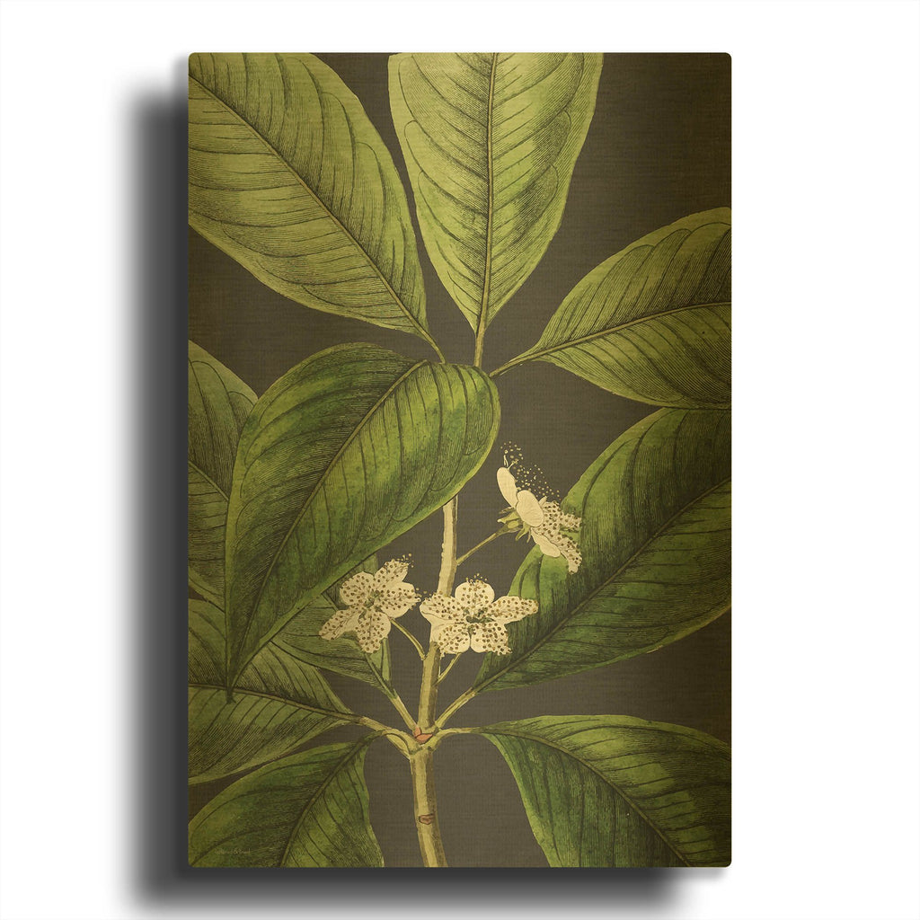 'Grand Leaves' By Lettered Gold Metal Wall Art