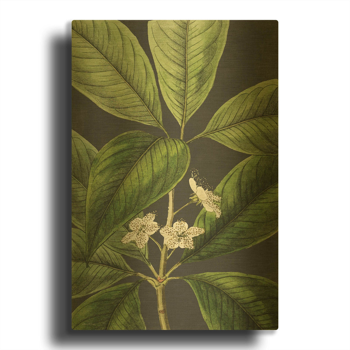 'Grand Leaves' By Lettered Gold Metal Wall Art