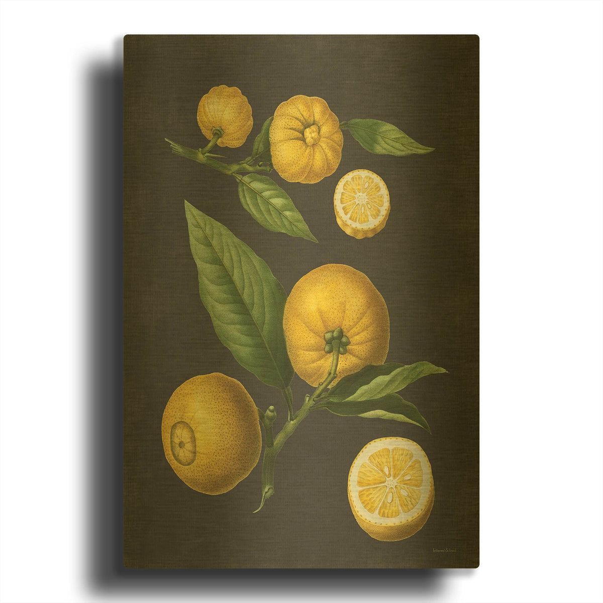 'Lemon Citrus' By Lettered Gold Metal Wall Art