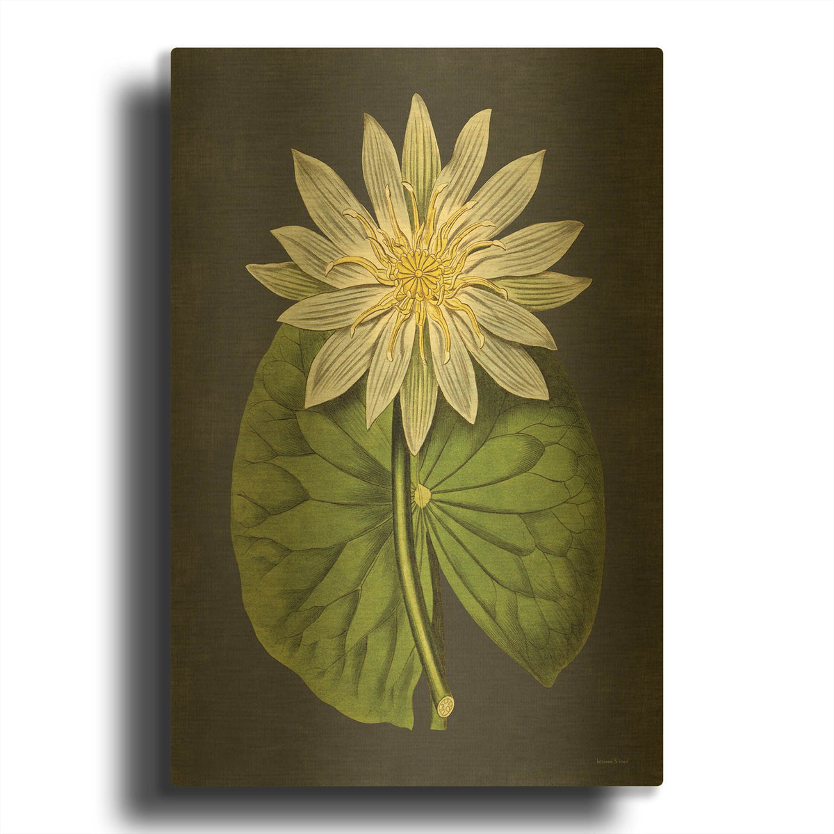 'Lily' By Lettered Gold Metal Wall Art
