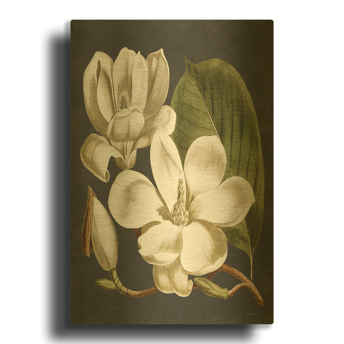 'Magnolia' By Lettered Gold Metal Wall Art