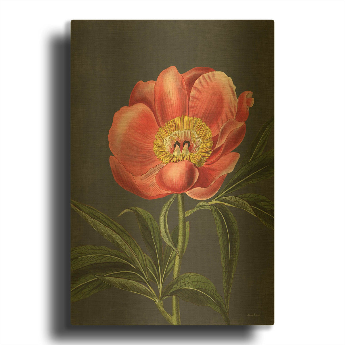 'Peony' By Lettered Gold Metal Wall Art