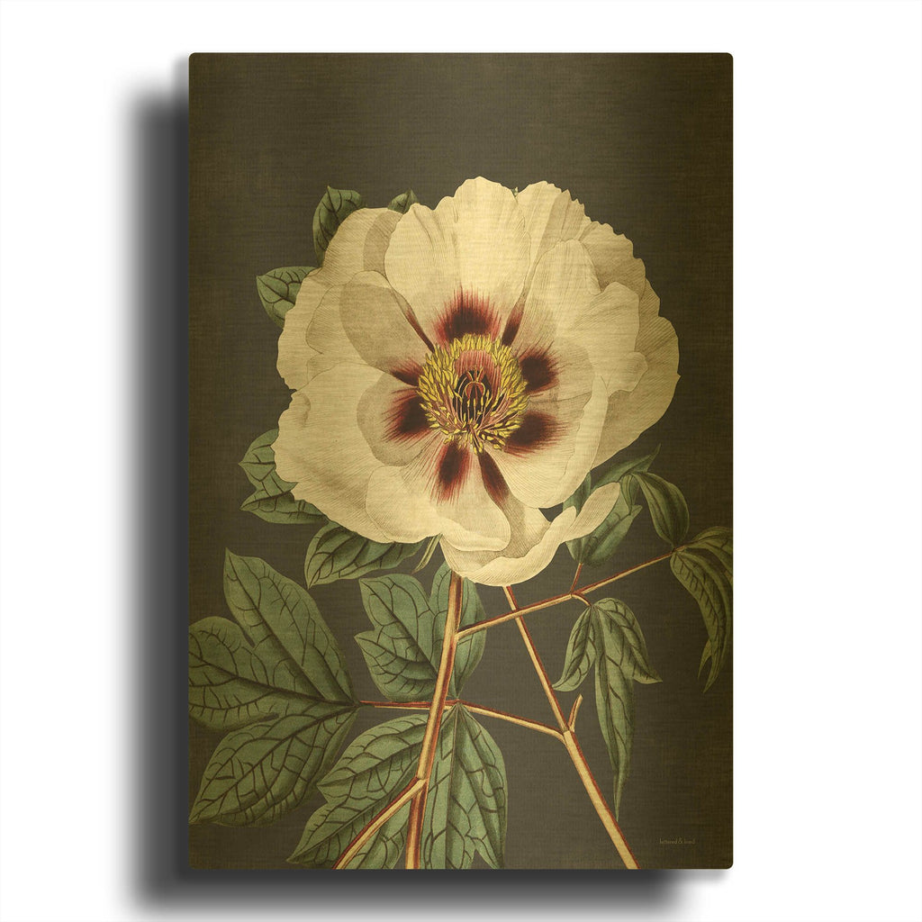 'Vintage Rose' By Lettered Gold Metal Wall Art
