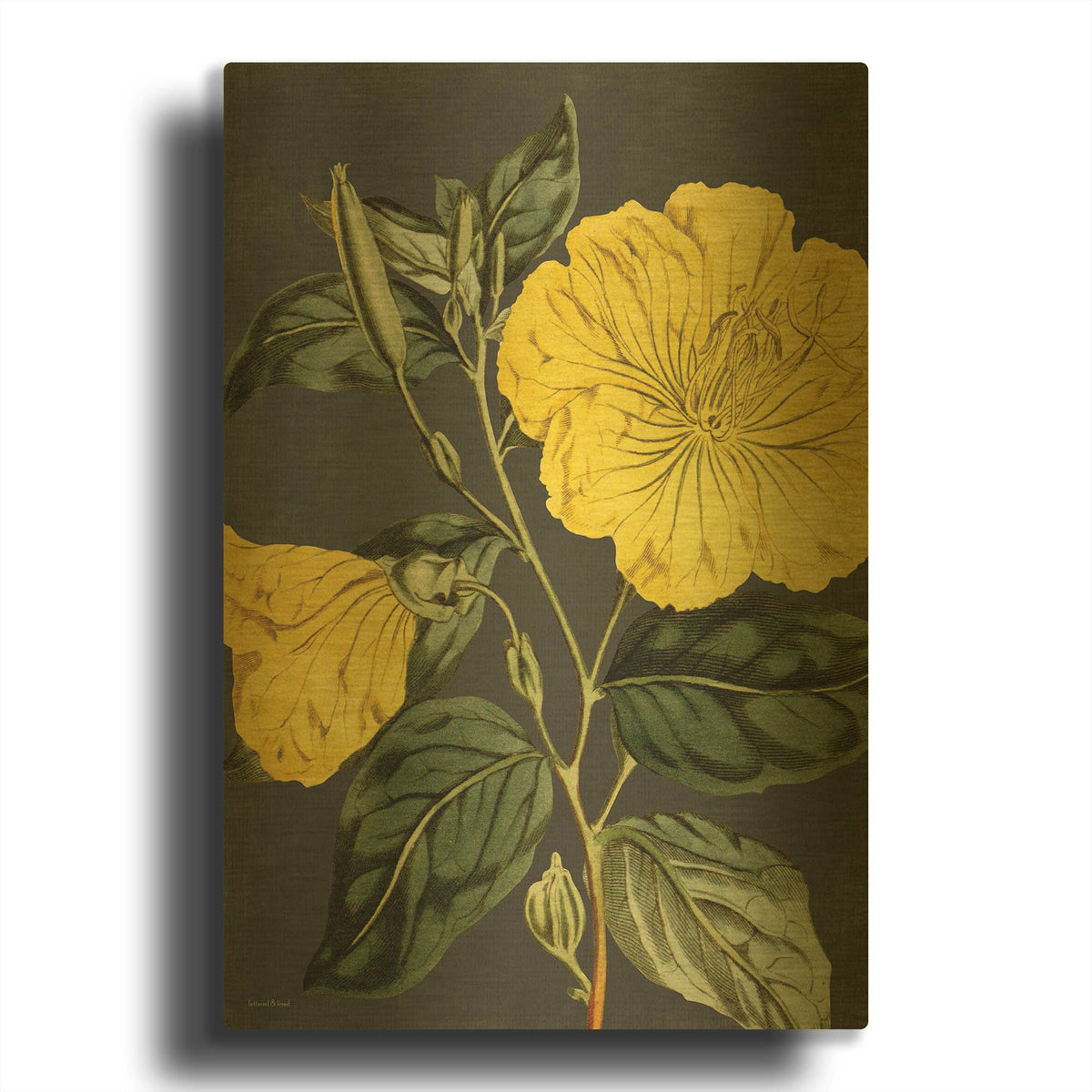 'Yellow Vine' By Lettered Gold Metal Wall Art