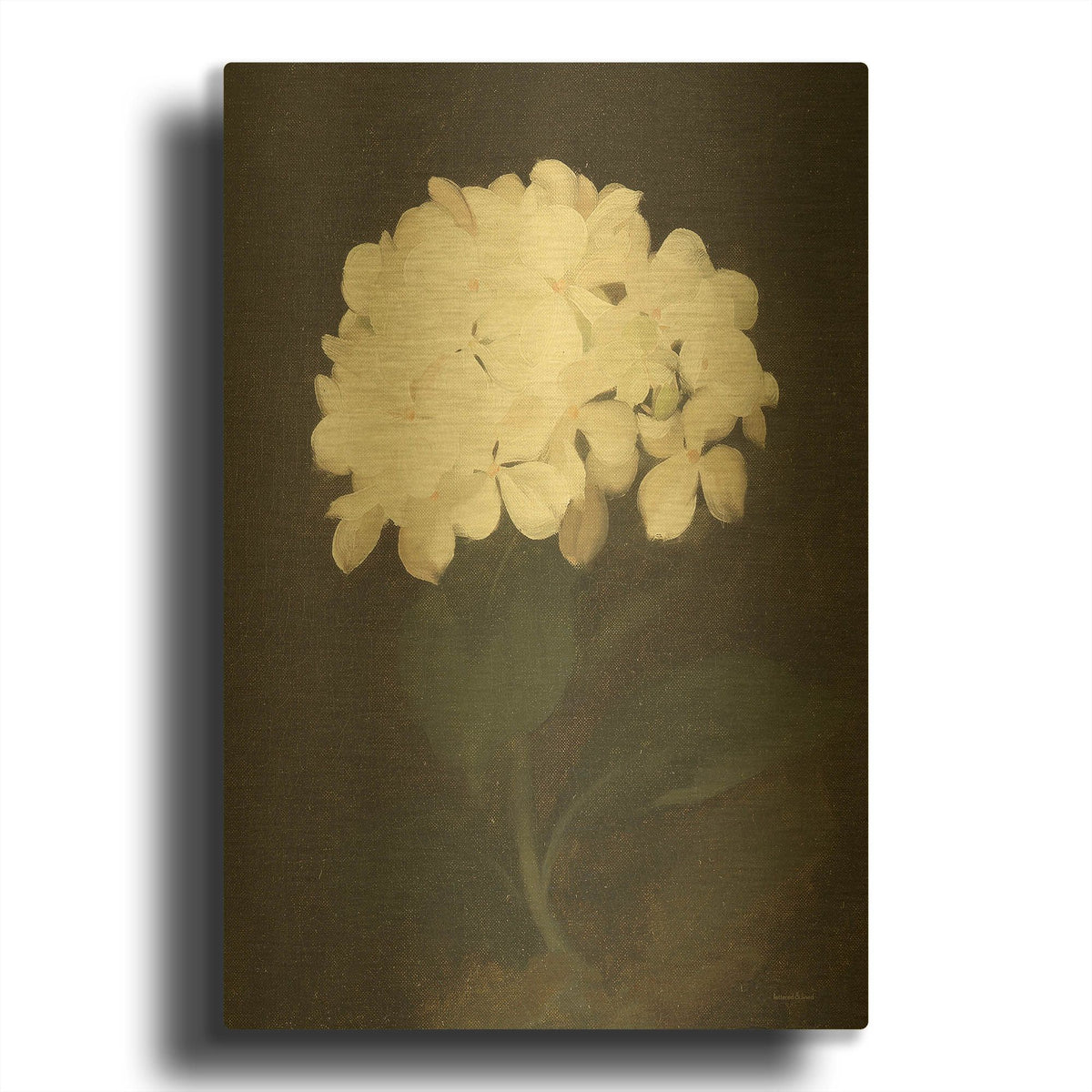 'Vintage White Hydrangea' By Lettered Gold Metal Wall Art