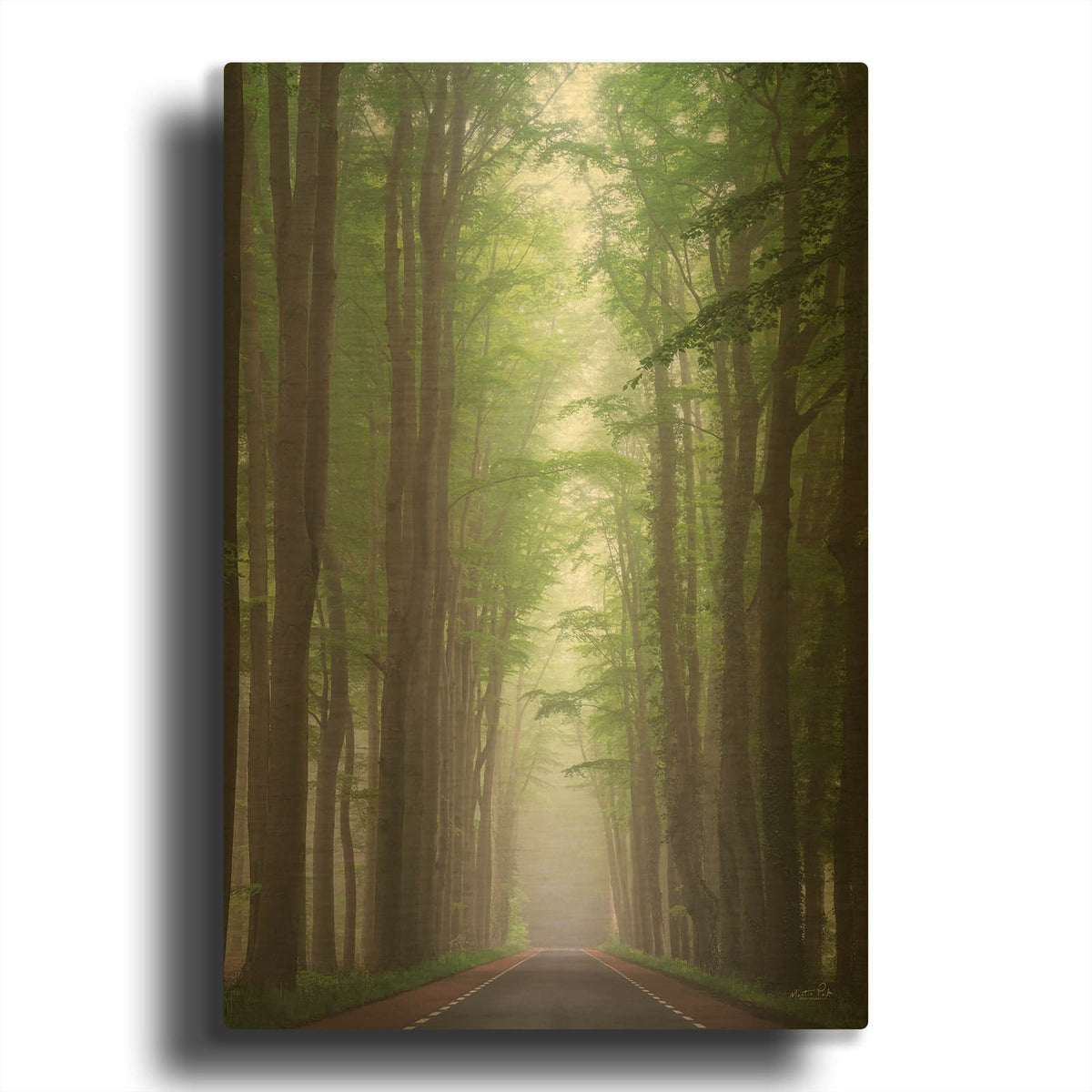 'Foggy Road' By Martin Podt Gold Metal Wall Art