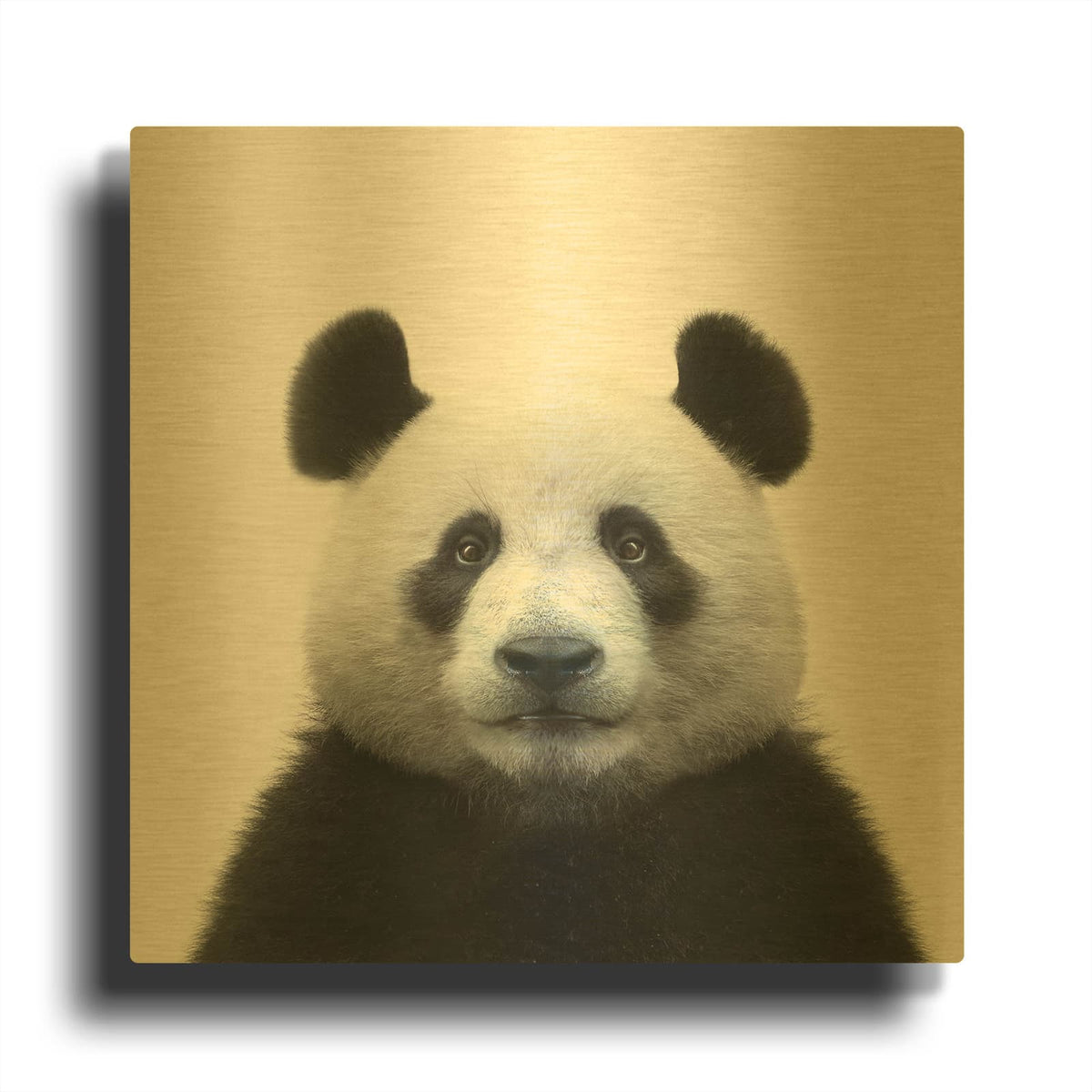 'Bamboo Bear' By Luxe Gold Metal Wall Art