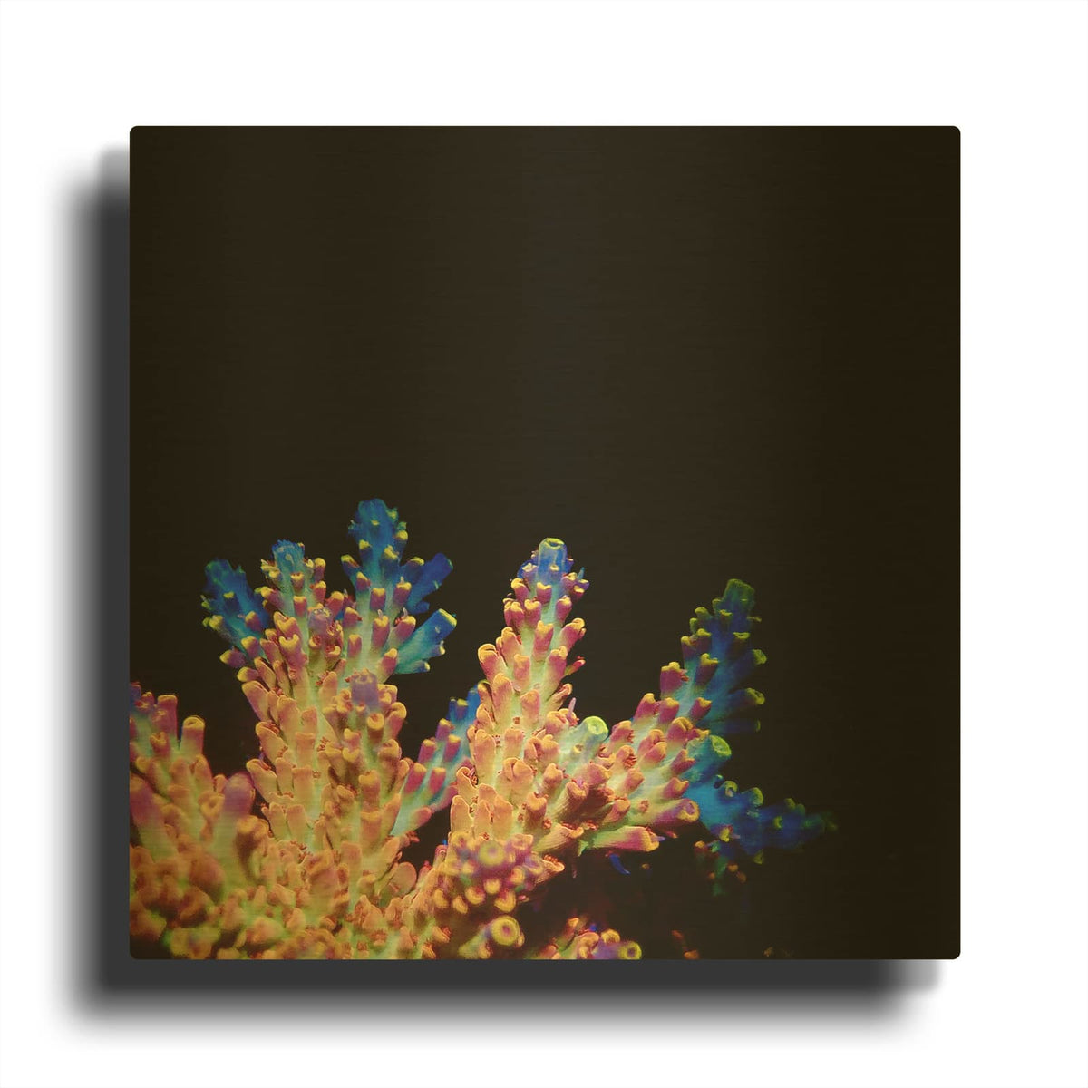 'Coral Reef' By Luxe Gold Metal Wall Art