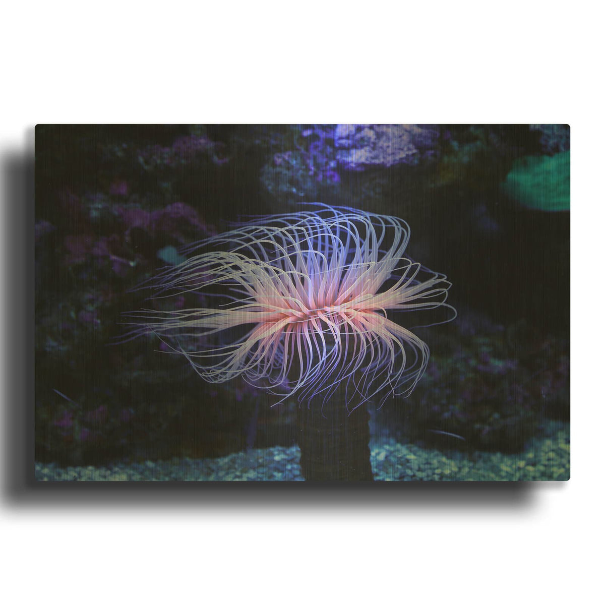 'Deep Sea Tango' By Luxe Gold Metal Wall Art