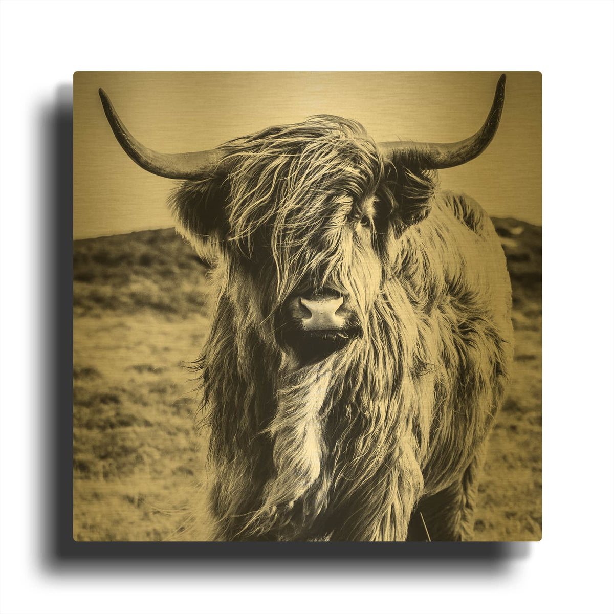 'Fluffy Cow' By Luxe Gold Metal Wall Art