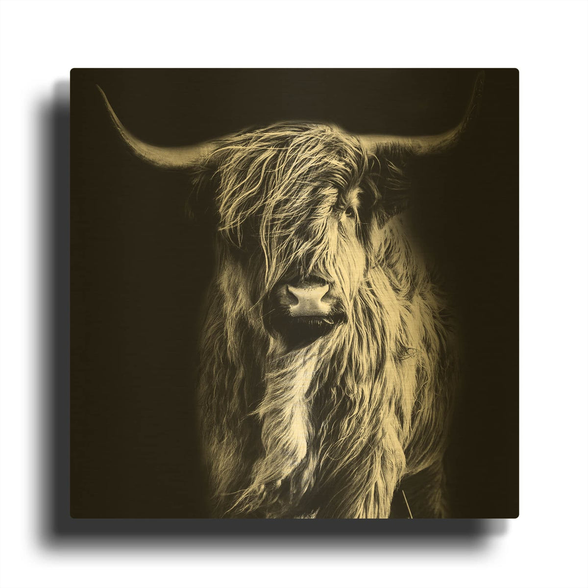 'Hippy Highland Cow' By Luxe Gold Metal Wall Art