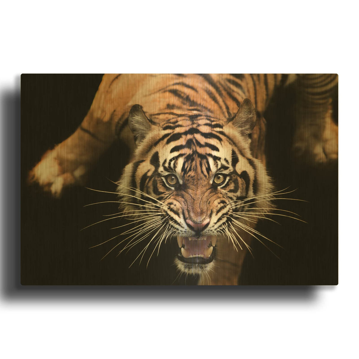 'Nice Kitty' By Luxe Gold Metal Wall Art