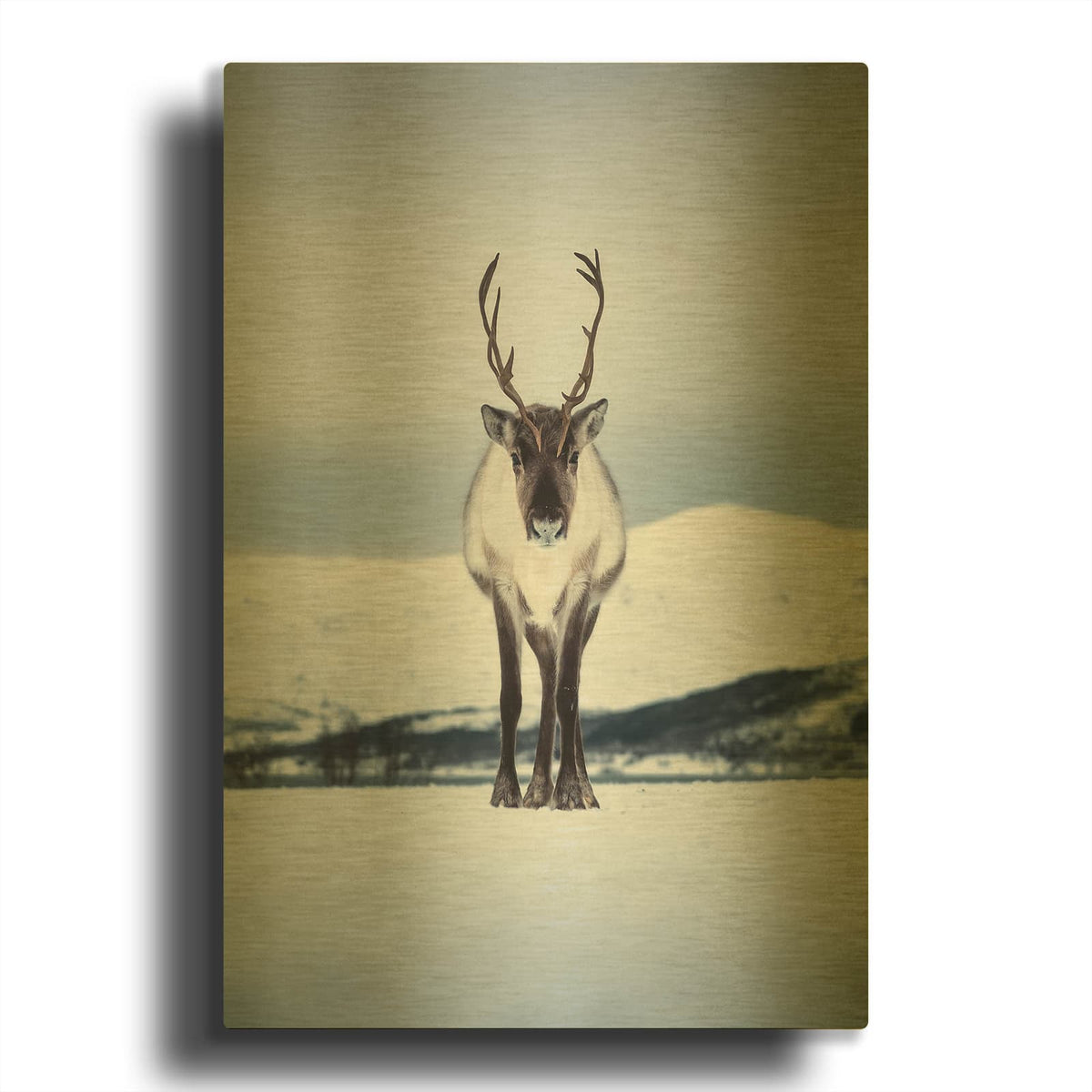 'Norwegian Raindeer' By Luxe Gold Metal Wall Art
